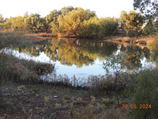 Wetlands in May